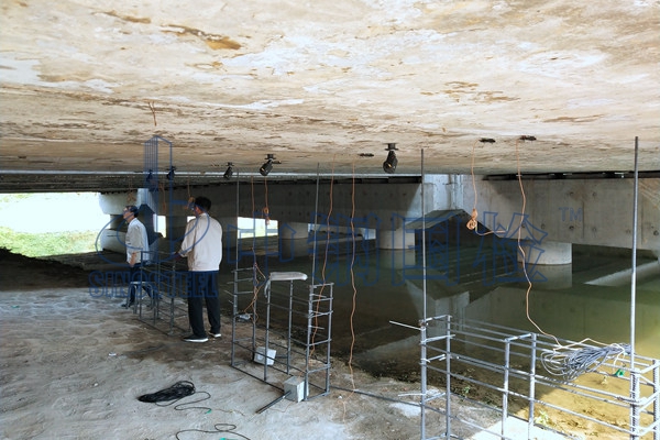 橋梁伸縮縫現(xiàn)場(chǎng)質(zhì)量檢測(cè)報(bào)告單