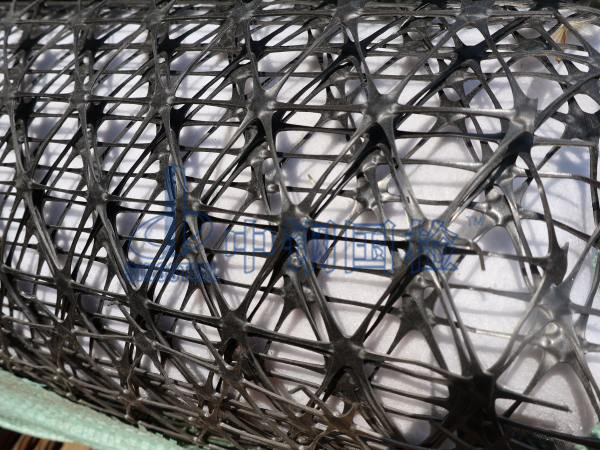 三向土工格柵樣品圖