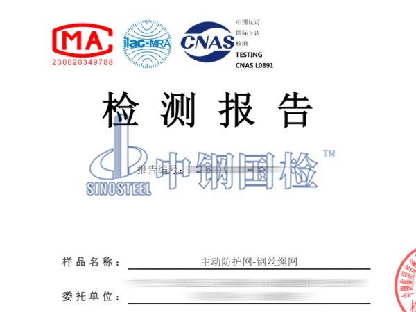 主動防護(hù)網(wǎng)-鋼絲繩網(wǎng)檢測報告圖