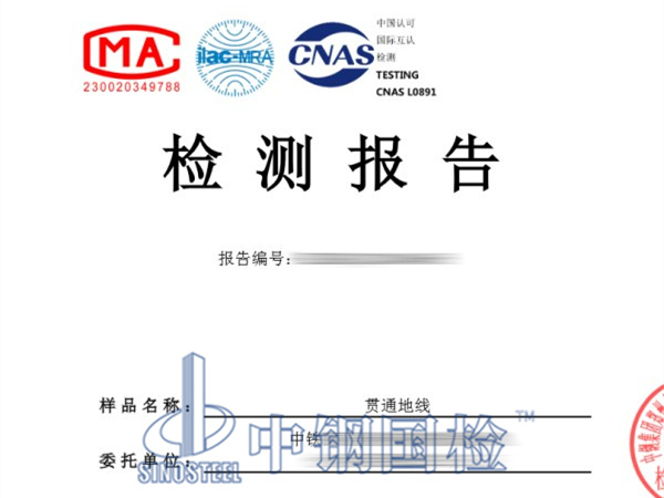 貫通地線檢測報告