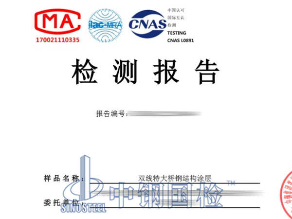 雙線特大橋鋼結構涂層檢測報告
